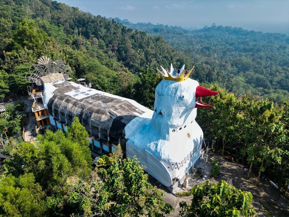 Sejarah & Budaya Sabung Ayam Di Indonesia Yang Mendunia